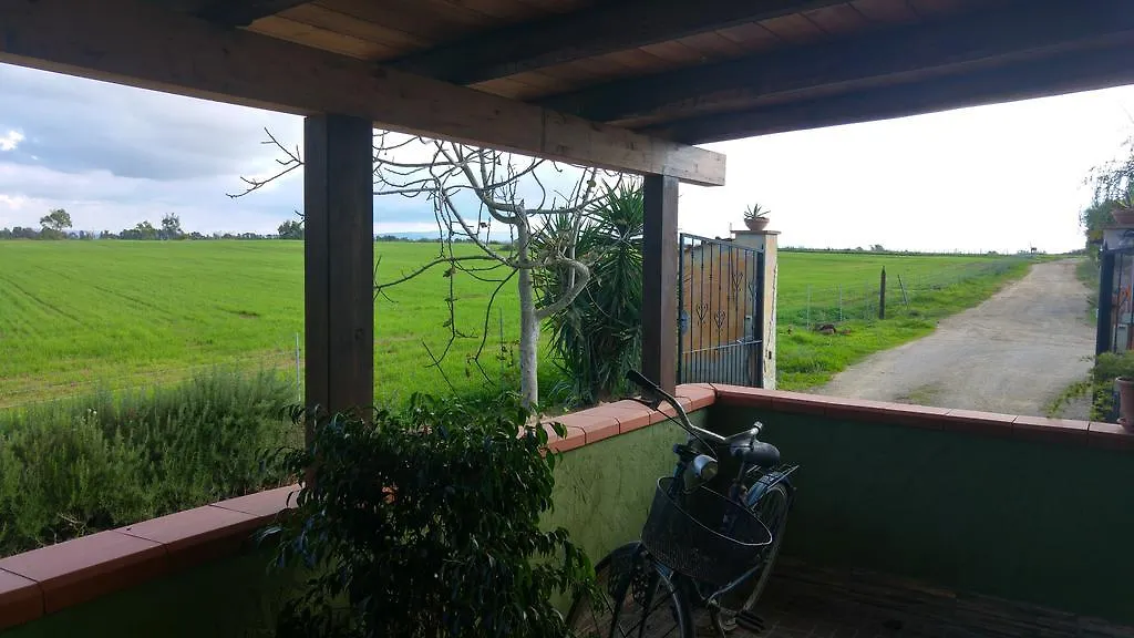 Country house Appartamento Il Salice Casa Minnina Italy